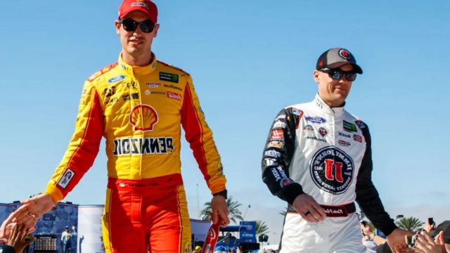 Harvick and Logano (1)