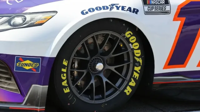 Goodyear Enlists External Committee (2)