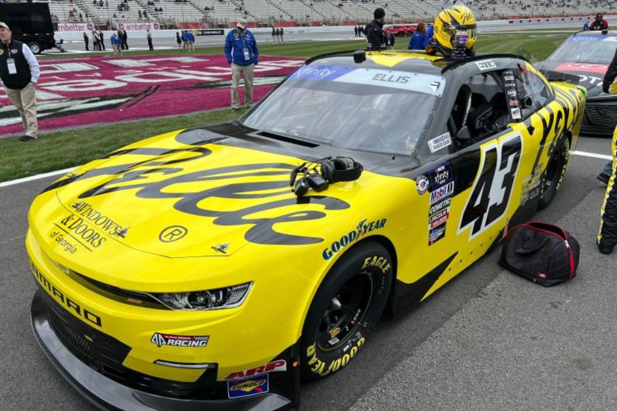 Pella Windows and Doors Back Ryan Ellis