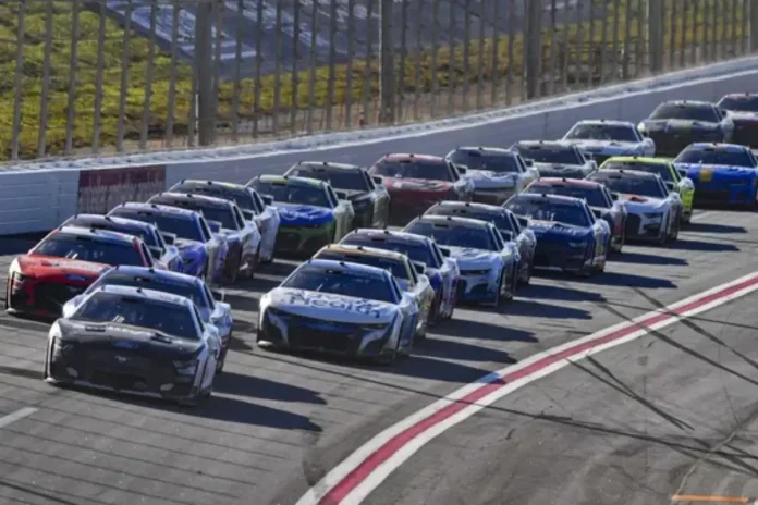 France Family's Sudden Sell-Off Raises Suspicion France Family's Sudden Sell-Off Raises Suspicion