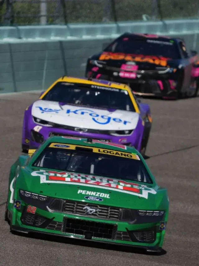 Panic at NASCAR Homestead Race as Fans