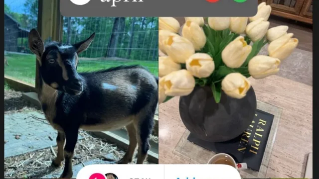 Toni Breidinger in Erin Blaney April memory montage