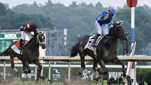 Josh Berry bird strike incident at Talladega NASCAR race
