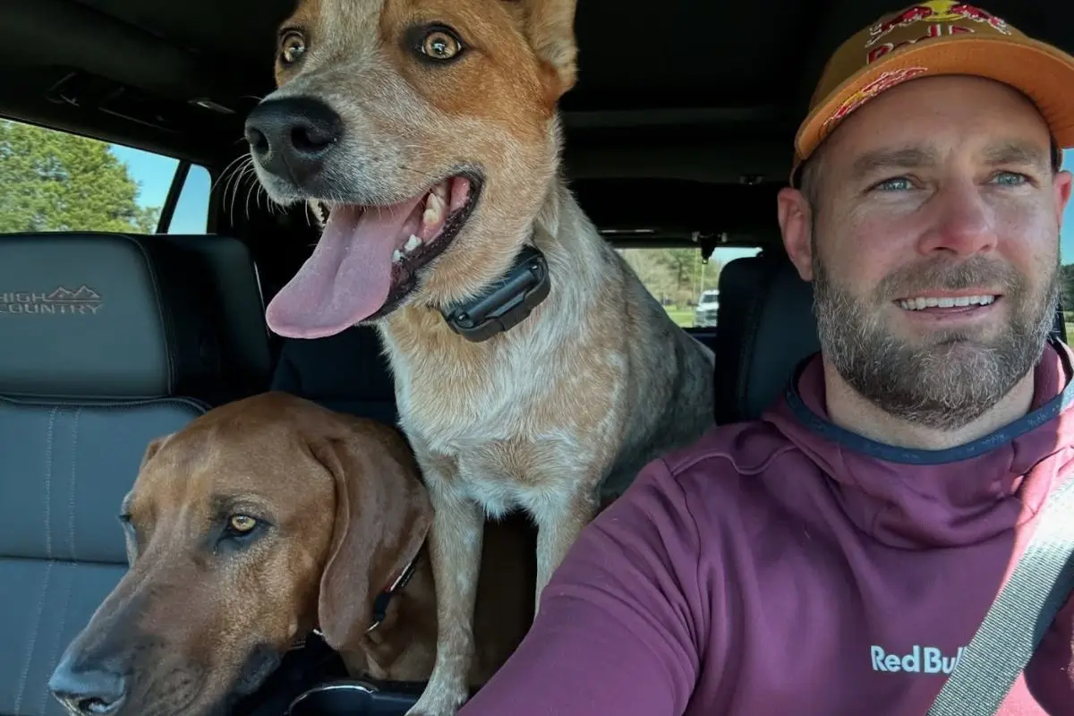 Shane van Gisbergen’s Dogs