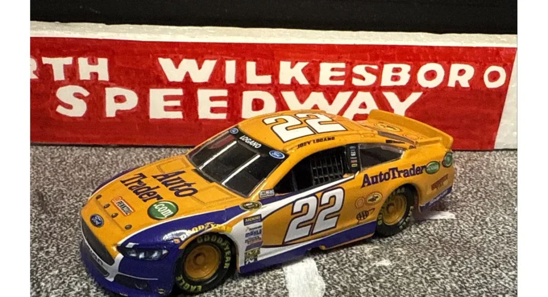 Joey Logano, Joey Logano NASCAR DAP Program